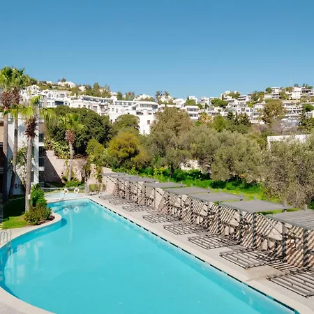 With Balcony Shared Pool Near *
